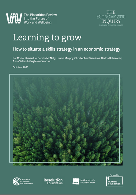 Learning to grow: How to situate a skills strategy in an economic strategy