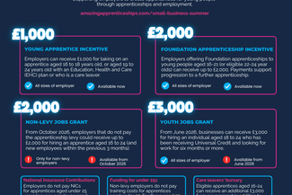 SBS Incentives explained (1)