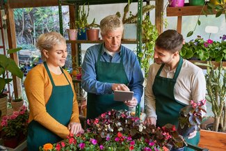 shutterstock_2471015447