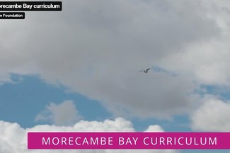 MBC image