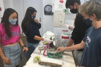 Students sorting beach debris