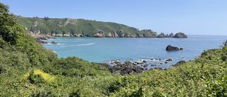 IMG_8943