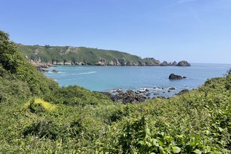 IMG_8943